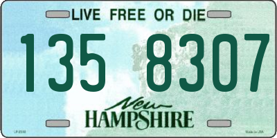 NH license plate 1358307
