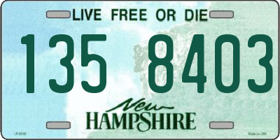 NH license plate 1358403