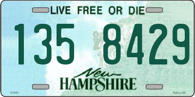 NH license plate 1358429