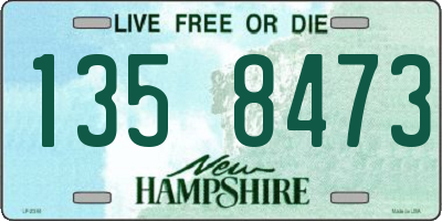 NH license plate 1358473