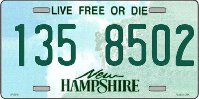 NH license plate 1358502