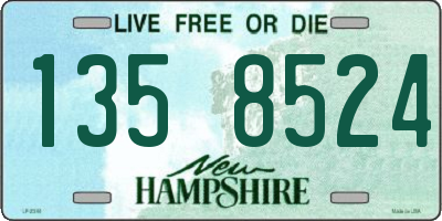 NH license plate 1358524
