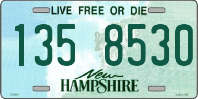 NH license plate 1358530