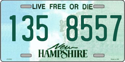 NH license plate 1358557
