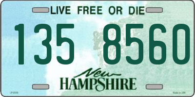 NH license plate 1358560