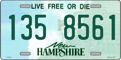 NH license plate 1358561