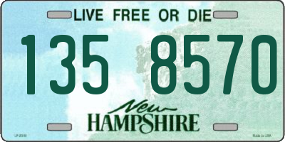 NH license plate 1358570