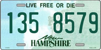 NH license plate 1358579