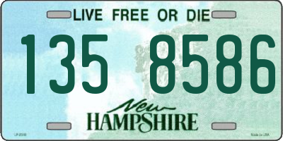 NH license plate 1358586