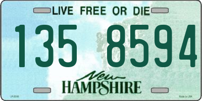 NH license plate 1358594