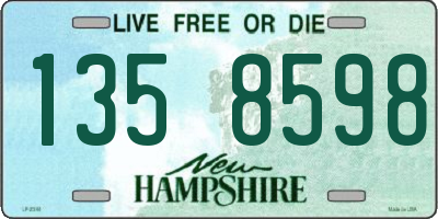 NH license plate 1358598