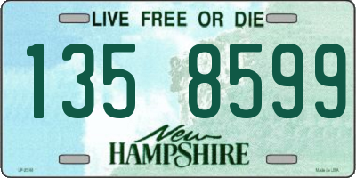 NH license plate 1358599