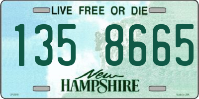 NH license plate 1358665