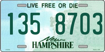 NH license plate 1358703