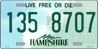 NH license plate 1358707