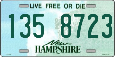 NH license plate 1358723