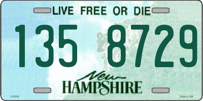NH license plate 1358729