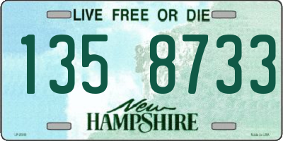 NH license plate 1358733