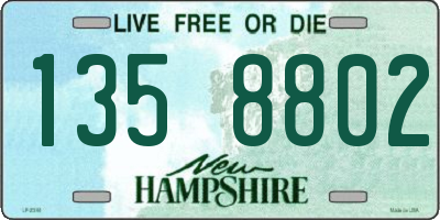 NH license plate 1358802