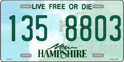 NH license plate 1358803