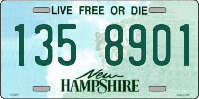 NH license plate 1358901