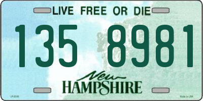 NH license plate 1358981
