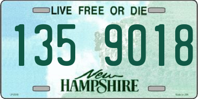 NH license plate 1359018