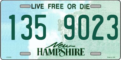 NH license plate 1359023