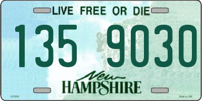 NH license plate 1359030