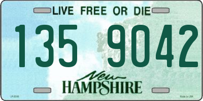 NH license plate 1359042