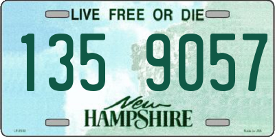 NH license plate 1359057