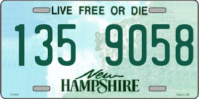 NH license plate 1359058