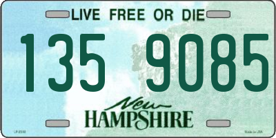NH license plate 1359085