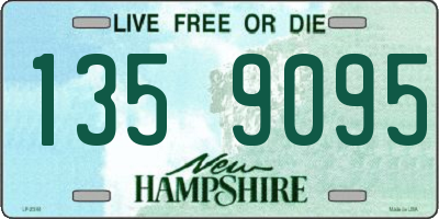 NH license plate 1359095