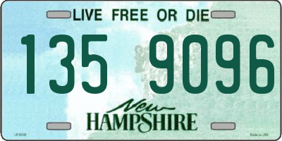 NH license plate 1359096