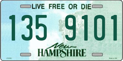 NH license plate 1359101