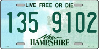 NH license plate 1359102