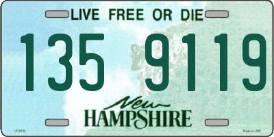 NH license plate 1359119