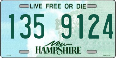 NH license plate 1359124