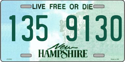 NH license plate 1359130