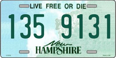 NH license plate 1359131