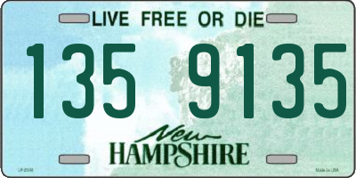 NH license plate 1359135