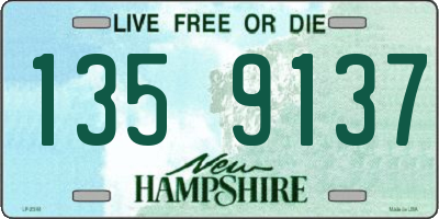 NH license plate 1359137