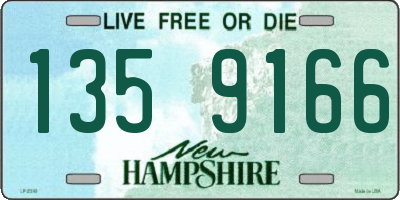 NH license plate 1359166