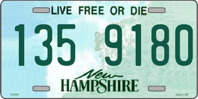 NH license plate 1359180