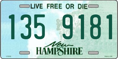 NH license plate 1359181