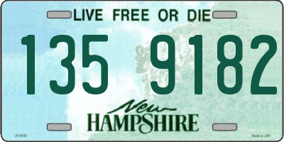 NH license plate 1359182