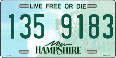 NH license plate 1359183