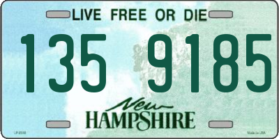 NH license plate 1359185