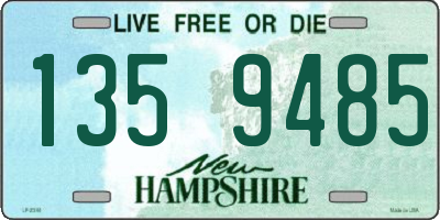NH license plate 1359485